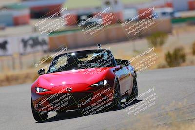 media/Mar-08-2025-Extreme Speed (Sat) [[4abb97269e]]/Blue/Turns 2  and  4 (Session 2)/
